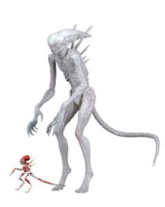 NECAOnline.com | 51659 Neomorph1