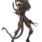 NECAOnline.com | Toy Fair 2018 - Day 2 Reveals: Action Figures from Aliens Series 13, Alien vs Predator (Arcade) & more!