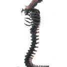 NECAOnline.com | Toy Fair 2018 - Day 2 Reveals: Action Figures from Aliens Series 13, Alien vs Predator (Arcade) & more!