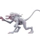 NECAOnline.com | Toy Fair 2019 - Day 2 Reveals: Action Figures from The Predator, Godzilla, more!