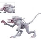 NECAOnline.com | Toy Fair 2019 - Day 2 Reveals: Action Figures from The Predator, Godzilla, more!