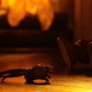 NECAOnline.com | Trick R Treat – 7” Scale Action Figure – Ultimate Sam