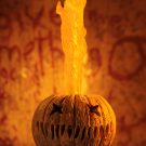 NECAOnline.com | Trick R Treat – 7” Scale Action Figure – Ultimate Sam