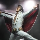 NECAOnline.com | Elvis Presley – 7” Scale Action Figure – Live in ’72