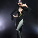 NECAOnline.com | Toony Terrors - 6" Scale Action Figure - Series 6 Assortment