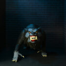 NECAOnline.com | An American Werewolf in London - 6" Scale Action Figures – Toony Terrors 2-Pack