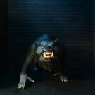 NECAOnline.com | An American Werewolf in London - 6" Scale Action Figures – Toony Terrors 2-Pack