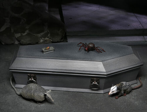 Universal Monsters – Dracula Accessory Set