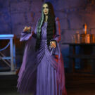 NECAOnline.com | The Munsters (2022) - 7” Scale Action Figure - Ultimate Lily Munster
